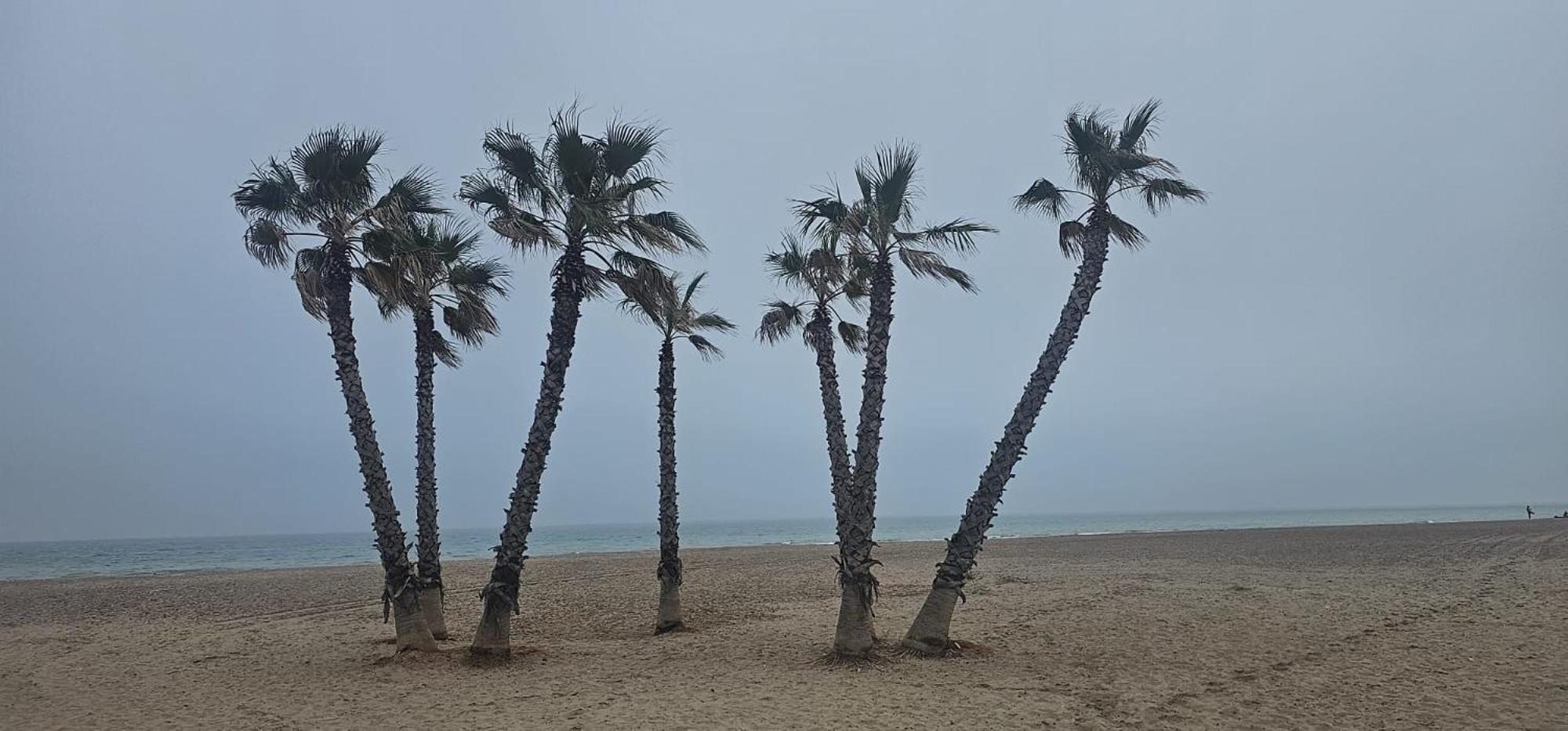 Apartamento Con Piscina Y Cerca De La Playa Canet d'En Berenguer Esterno foto